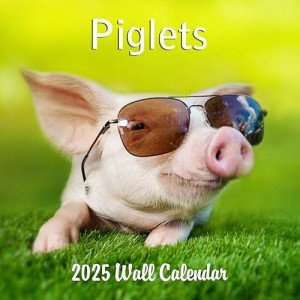 Cute Piglets Wall Calendar 2024-2025 - 12"x24