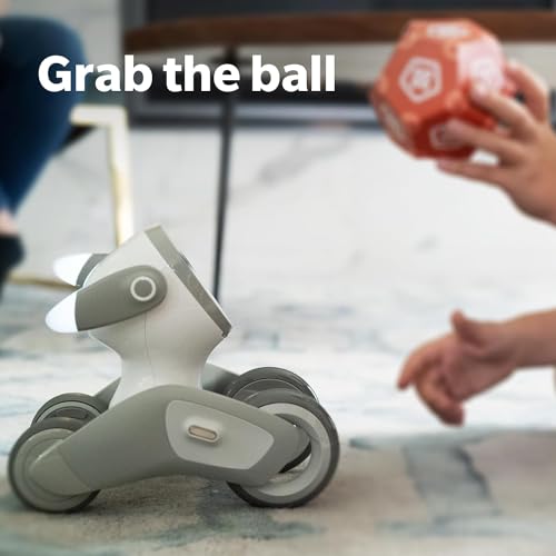 Loona: Smart Petbot with Voice & Gesture Control