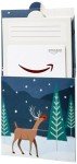 Amazon Gift Card - Winter Scene Design