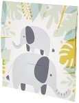 Amazon Gift Card in Baby Elephant Reveal