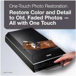 Epson Perfection V600 High-Quality Photo and Film Scanner