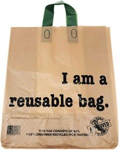 Bulk Reusable Kraft Shopping Bags - 250 Count