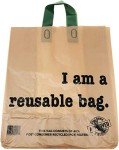 Bulk Reusable Kraft Shopping Bags - 250 Count