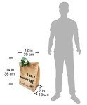 Bulk Reusable Kraft Shopping Bags - 250 Count