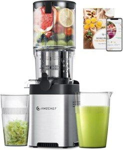 AMZCHEF Stainless Steel Slow Masticating Juicer