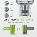AMZCHEF Stainless Steel Slow Masticating Juicer