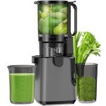 High-Yield Slow Masticating Juicer - Easy Clean