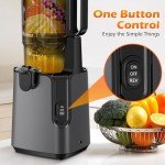 High-Yield Slow Masticating Juicer - Easy Clean