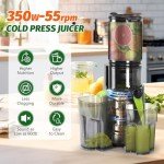 Masticating Juicer with Wide Feed Chute, Easy Clean