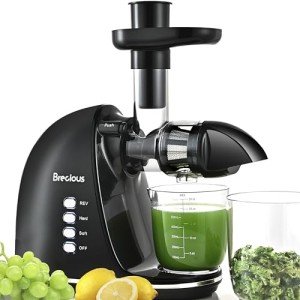 Brecious Quiet Cold Press Juicer with 2 Speeds