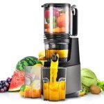 Slow Masticating Juicer with Large Feed Chute