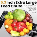 Slow Masticating Juicer with Large Feed Chute