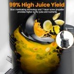 Slow Masticating Juicer with Large Feed Chute