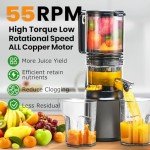 Slow Masticating Juicer with Large Feed Chute