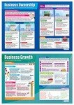 AI-Powered Business Decisions Classroom Posters - Set of 9