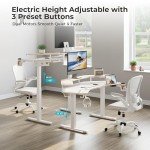 Eureka Ergonomic 63” Electric Height Adjustable Desk