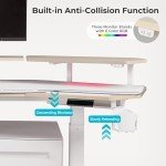 Eureka Ergonomic 63” Electric Height Adjustable Desk