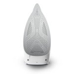 Powerful Rowenta Steamer with Stainless Steel Soleplate