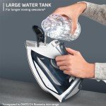 Powerful Rowenta Steamer with Stainless Steel Soleplate