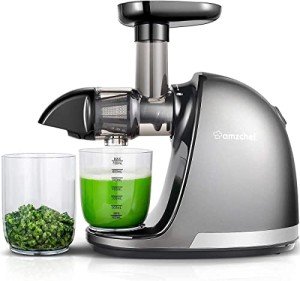 AMZCHEF Cold Press Juicer with Reverse Function