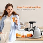 AMZCHEF Cold Press Juicer with Reverse Function