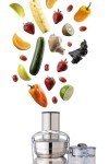 Breville Commercial Juice Fountain Pro - Stainless Steel