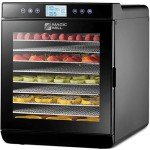 Digital Food Dehydrator with 10 Stainless Steel Trays