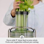 Breville BJE430SIL Silver AI-Powered Juicer