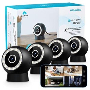 LaView 4MP Starlight Security Camera with Alexa Compatibility