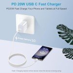 Pixel 9 Pro 20W USB-C Fast Charger 2-Pack