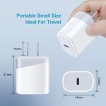 Pixel 9 Pro 20W USB-C Fast Charger 2-Pack