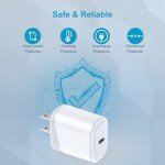Pixel 9 Pro 20W USB-C Fast Charger 2-Pack