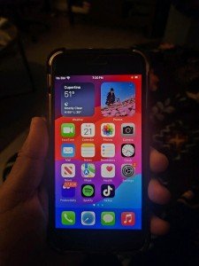 iPhone for TikTok: Capture Your Best Moments