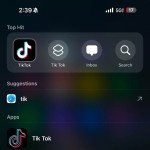 iPhone 16 Pro Max 256GB + TikTok Installed