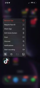 TikTok App Installation for iPhone Users