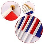 Trump 2024 Mini Flags - Take America Back (24 Pack)