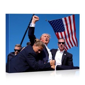 Trump "Keep Fighting" Canvas Wall Art - 11x14