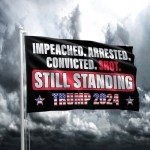 Trump 2024 Double-Sided Flag - Still Standing