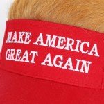 Trump 2024 MAGA Hat with Hair for Fans