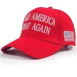 MAGA Hat with USA Flag - 2024 Edition