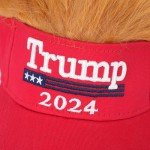 Trump 2024 Hat, Donald Trump Shoes Lace Tag, 50 Pack Trump 2024 Stickers, Trump Bobblehead 2024 Merchandise Donald Trump Sign, The Cult of President Trump MAGA Flag Shirt Socks
