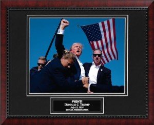 New England Picture Assassination Attempt of President Donald J. Trump - Iconic Fight Photo July 13, 2024, Butler Pennsylavania. 16.5x13.5 Mahogany Frame