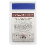 Trump Mugshot Collector Trading Card Graded Gem Mint 10 - Trump Collectibles Trump Gifts Trump 2024 Perfect Patriotic & Political Donald Trump Gifts for Trump Supporters (Donald Trump Fight)