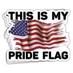 HOSALA (3Pcs/Pack) This is My Pride Flag Sticker Patriotic Patriot Sticker Distressed American Flag Sticker Independence Day 4th of July Sticker USA July 4th Gift Decoration Helmet Bumper- 3"x4"