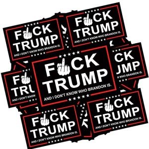 YINENA 100Pcs Fuck Trump and I Don't Know Who Brandon is Stickers Anti Trump Stickers and Decal for Car Motorcycles Helmets Laptop Window Waterproof Decor 2x3 Inch