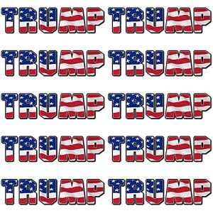 Trump 2024 Sticker (10 Pack), Trump Stickers and Decals, Trump 2024 Bumper Sticker for Car, Truck, Motorcycle, House, Windows, Laptop, Trump American Flag Vinyl Stickers, Great Gift for Any Patriot