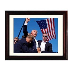 Generic Trump Photo Frame 10""x8"" | Trump Assassination Attempt Never Surrender Mugshot Photograph | The President's Man Donald J. Trump Merchandise | Trump Keep Fighting Fist Pump Framed Photo