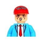 Custom Design Donald Trump Minifigure - 45th American President MAGA Hat and Stand Fight, Adult Collectors Edition, MiniBricks Compatible, Limited Election Toy Edition, Toys, Bricks, Funny