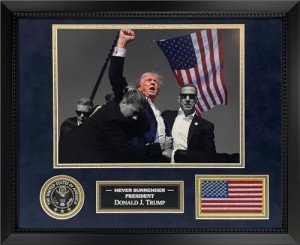 New England Picture Assassination Attempt of President Donald J. Trump July 13, 2024, Butler Pennsylvania - Fist Pump Photo in Black Frame