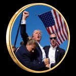 Donald Trump Assassinated Coins 2024 Shooting Collection Medal Trump Fighting for America Collectible Coin (10 Pieces Blue-Gold)